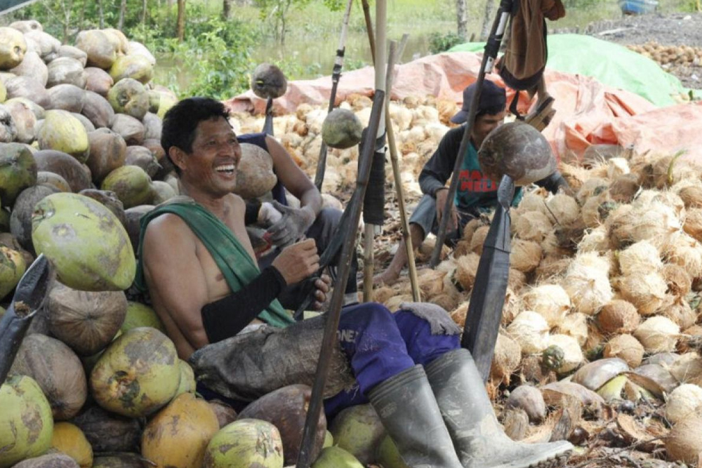 daging kelapa Bandung